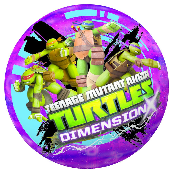 Hedstrom Licensed 10" Playball