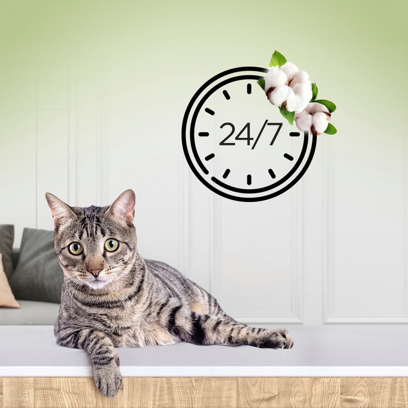 Air Wick Freshmatic Pet Air Freshener Starter Kit - Linen - 5.89oz/2pk