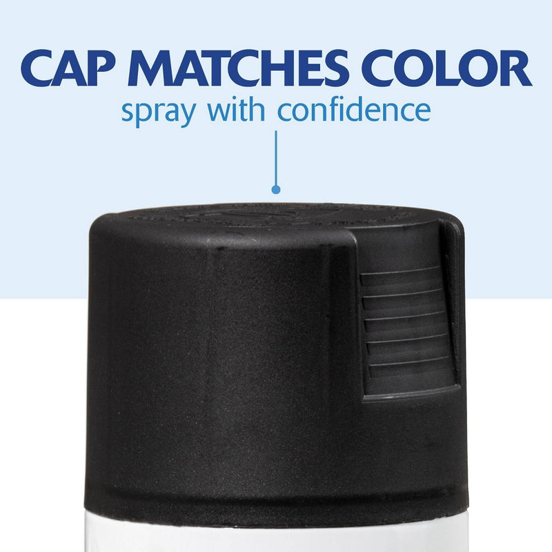 Rust-Oleum Ptouch 2X + Spray Paints 6pk Satin CanyonBlack