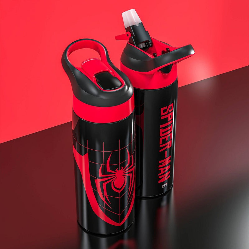 Zak Designs 19 fl oz Stainless Steel Vacuum Insulated Riverside Spider-Man Water Bottle