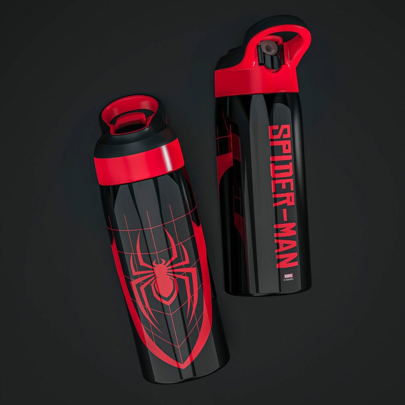 Zak Designs 19 fl oz Stainless Steel Vacuum Insulated Riverside Spider-Man Water Bottle
