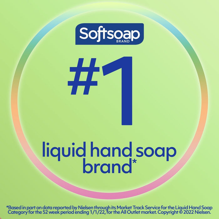 Softsoap Liquid Hand Soap Pump - Spring Meadows - 11.25 fl oz