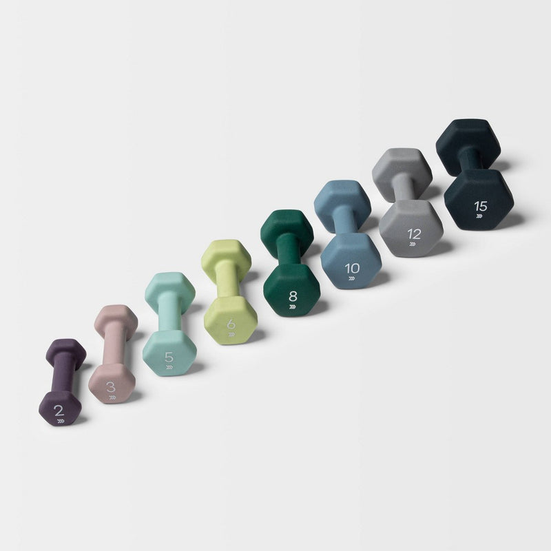 Dumbbell 10lbs Blue - All In Motion