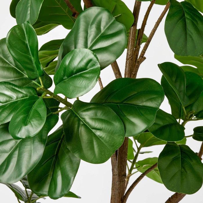 6 ft Artificial Leaf Fig Tree Dark Green - Threshold designed with Studio McGee (LOCAL PICKUP ONLY)