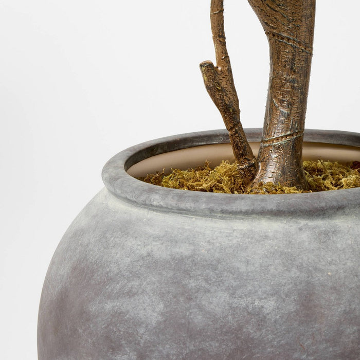 6 ft Artificial Leaf Fig Tree Dark Green - Threshold designed with Studio McGee (LOCAL PICKUP ONLY)