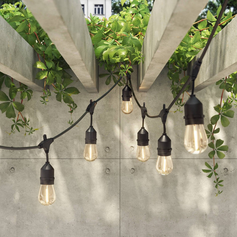 10ct LED Drop Indoor Outdoor Cafe String Lights Clear Bulbs with Black Wire - Threshold