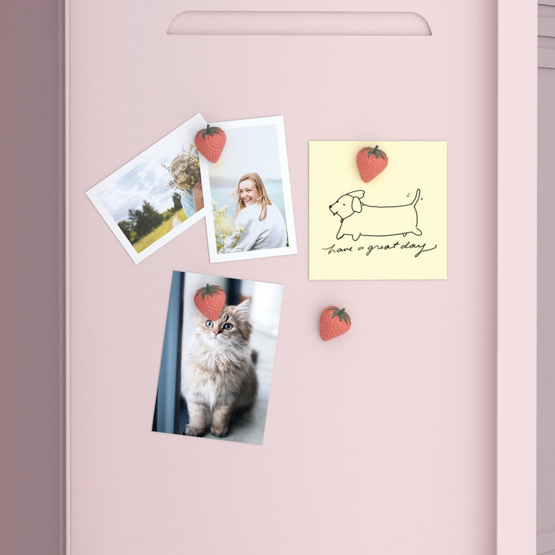 U Brands 4ct Strawberry Magnetic Locker - Red
