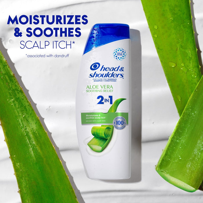 Head & Shoulders Aloe Vera 2-in-1 Anti Dandruff Shampoo and Conditioner - 12.5 fl oz