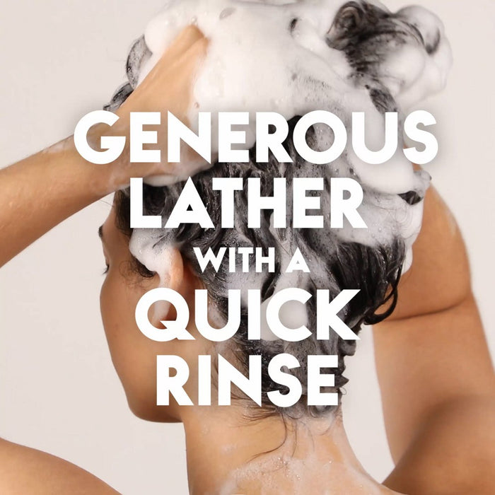 Head & Shoulders Aloe Vera 2-in-1 Anti Dandruff Shampoo and Conditioner - 12.5 fl oz