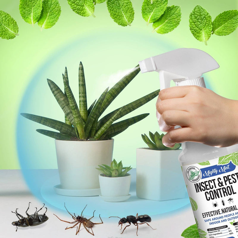 Mighty Mint Insect & Pest Control - 15oz