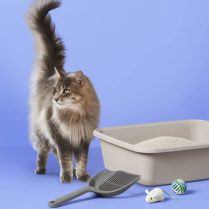Fragrance Free Scoopable Clumping Cat Litter - 20lbs - up & up (LOCAL PICKUP ONLY)