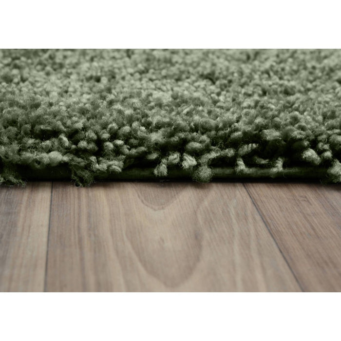 24"x40" Serendipity Solid Shaggy Washable Nylon Bath Rug Deep Fern - Garland
