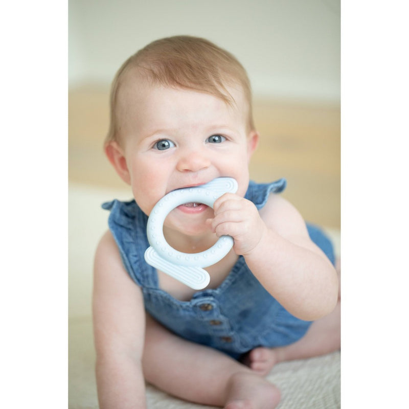 Bella Tunno Dog Rattle and Teether