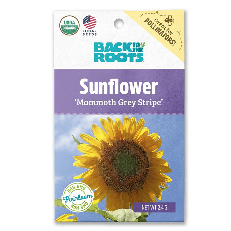 Back to the Roots Sunflower Mammoth Gray Stripe