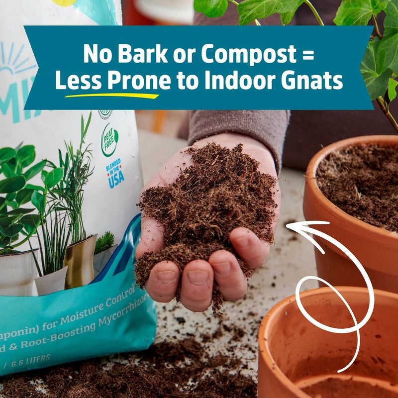 Back to the Roots 6qt Organic Indoor Potting Mix For Houseplants Specialty Mix: Perlite, Coconut Coir, Mycorrhizae
