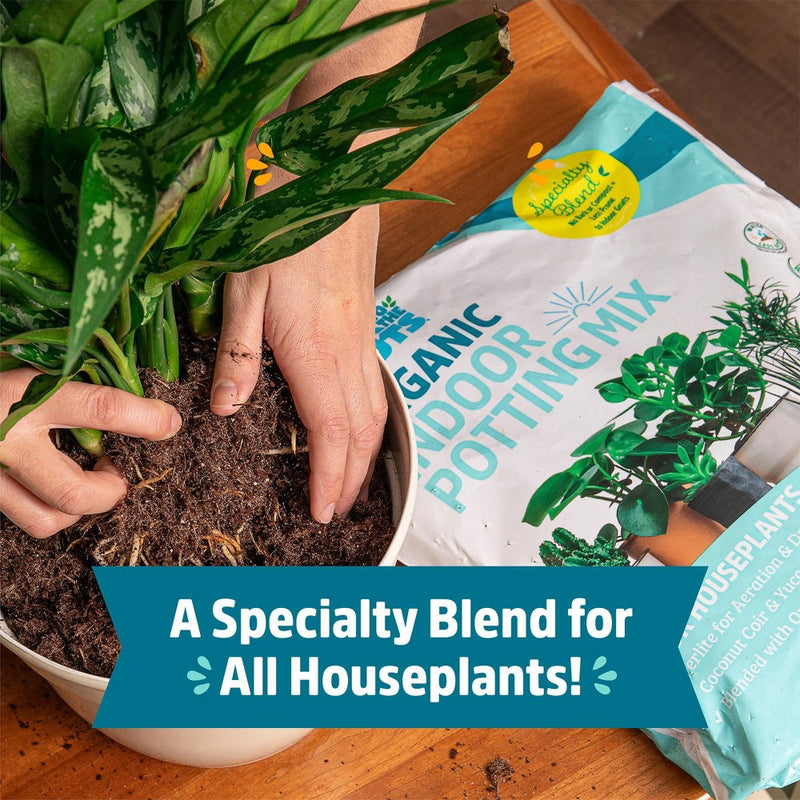 Back to the Roots 6qt Organic Indoor Potting Mix For Houseplants Specialty Mix: Perlite, Coconut Coir, Mycorrhizae