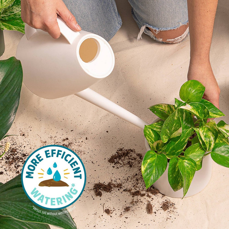 Back to the Roots 6qt Organic Indoor Potting Mix For Houseplants Specialty Mix: Perlite, Coconut Coir, Mycorrhizae