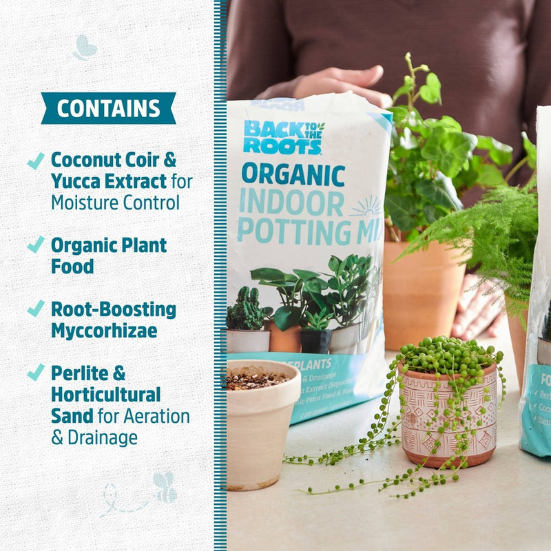 Back to the Roots 6qt Organic Indoor Potting Mix For Houseplants Specialty Mix: Perlite, Coconut Coir, Mycorrhizae
