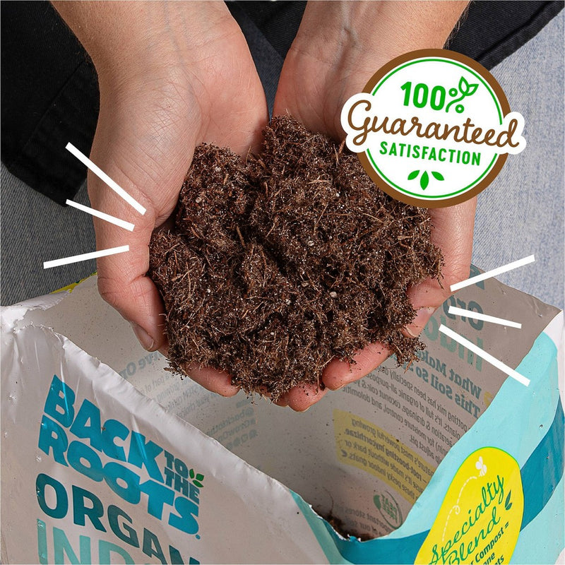 Back to the Roots 6qt Organic Indoor Potting Mix For Houseplants Specialty Mix: Perlite, Coconut Coir, Mycorrhizae