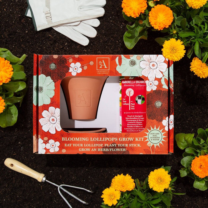 Amborella Organics Blooming Lollipops Grow Kit