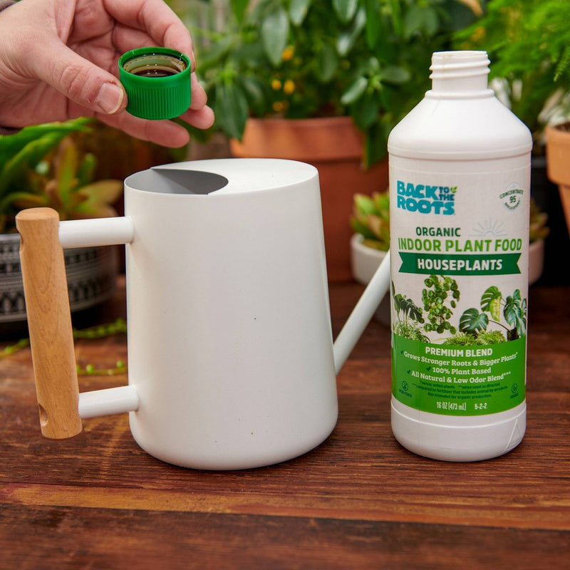 Back to the Roots All Purpose Plant Food 16oz