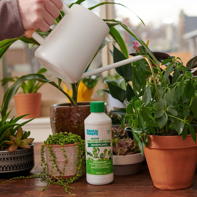Back to the Roots All Purpose Plant Food 16oz