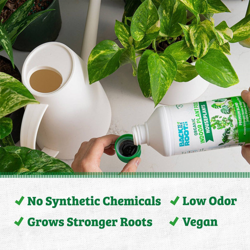 Back to the Roots All Purpose Plant Food 16oz