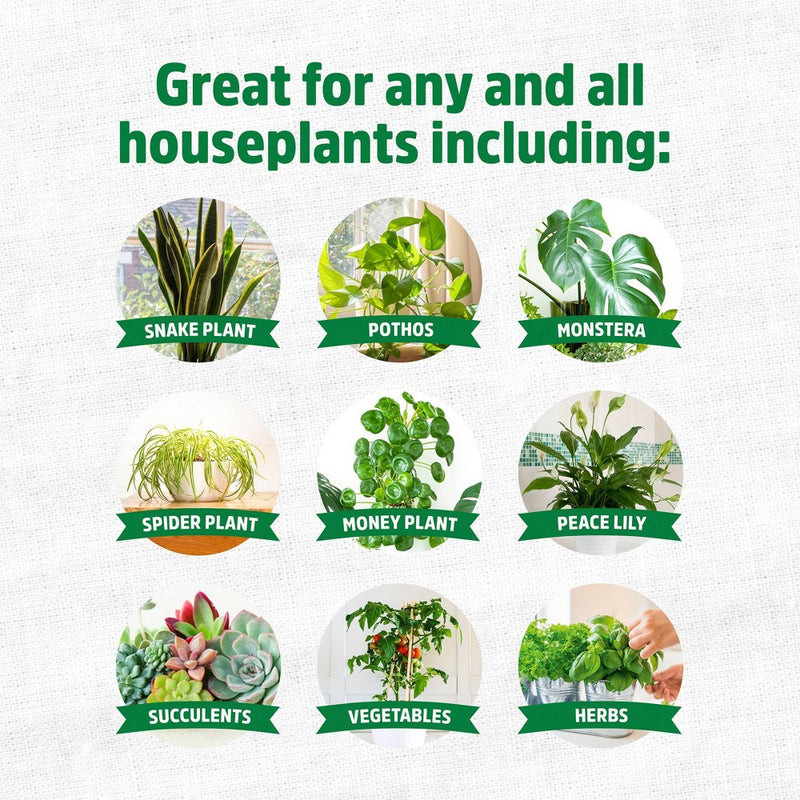 Back to the Roots All Purpose Plant Food 16oz
