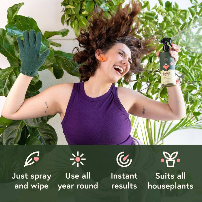 Houseplant Leaf Health Kit - WE THE WILD