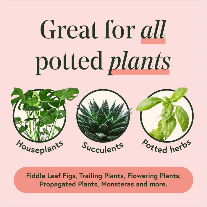 Houseplant Leaf Health Kit - WE THE WILD