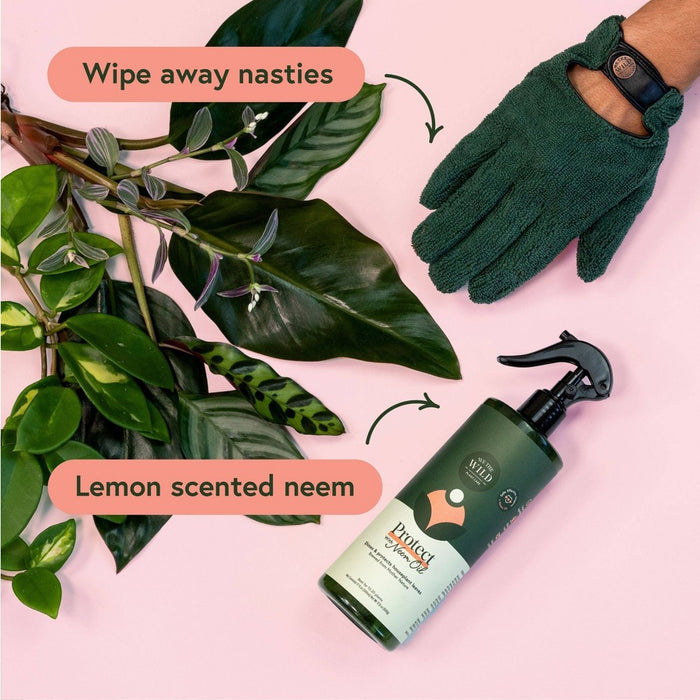 Houseplant Leaf Health Kit - WE THE WILD
