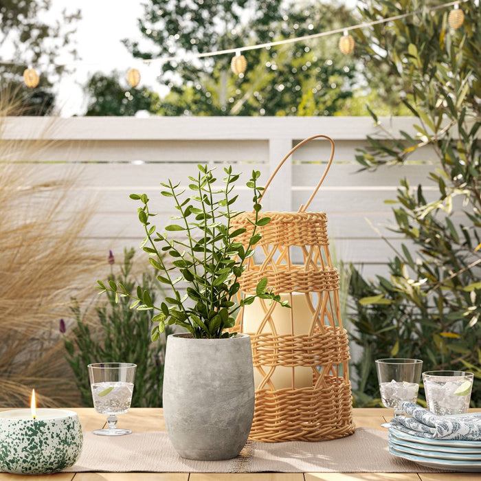14" Privet Artificial Plant - Threshold designed with Studio McGee: No-Maintenance Greenery, Indoor/Outdoor Decor
