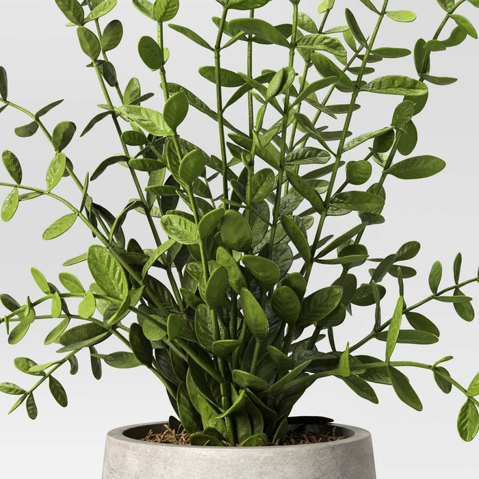14" Privet Artificial Plant - Threshold designed with Studio McGee: No-Maintenance Greenery, Indoor/Outdoor Decor