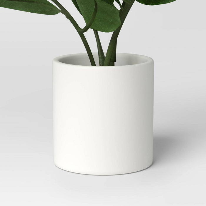10.5" Small Tabletop ZZ Artificial Plant - Threshold: Ceramic Pot, Indoor/Outdoor Decor