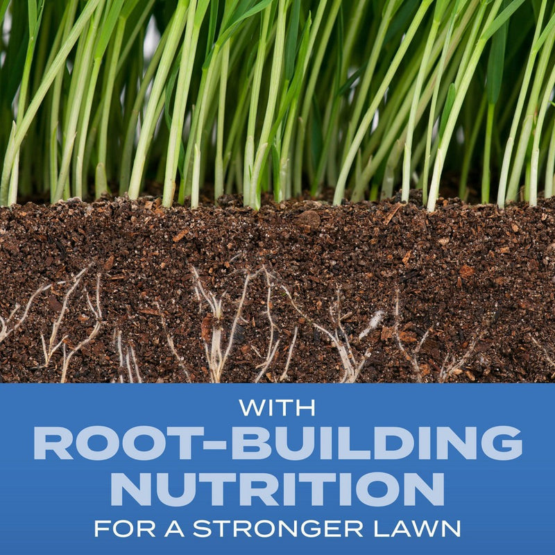 Scotts Turf Builder 2.4lbs Grass Seed Sun and Shade Mix: Lawn Overseeding, Soil Improvement, Quick Germination