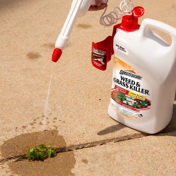 1.33gal Weed & Grass Killer AccuShot Sprayer - Spectracide