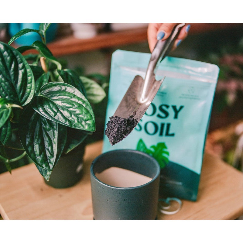 Rosy Soil 4lb Indoor Potting Soil Mix