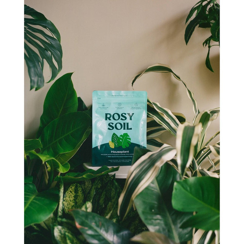 Rosy Soil 4lb Indoor Potting Soil Mix