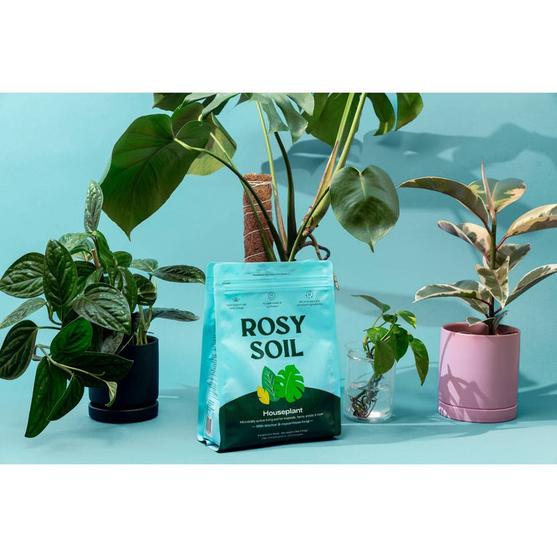 Rosy Soil 4lb Indoor Potting Soil Mix