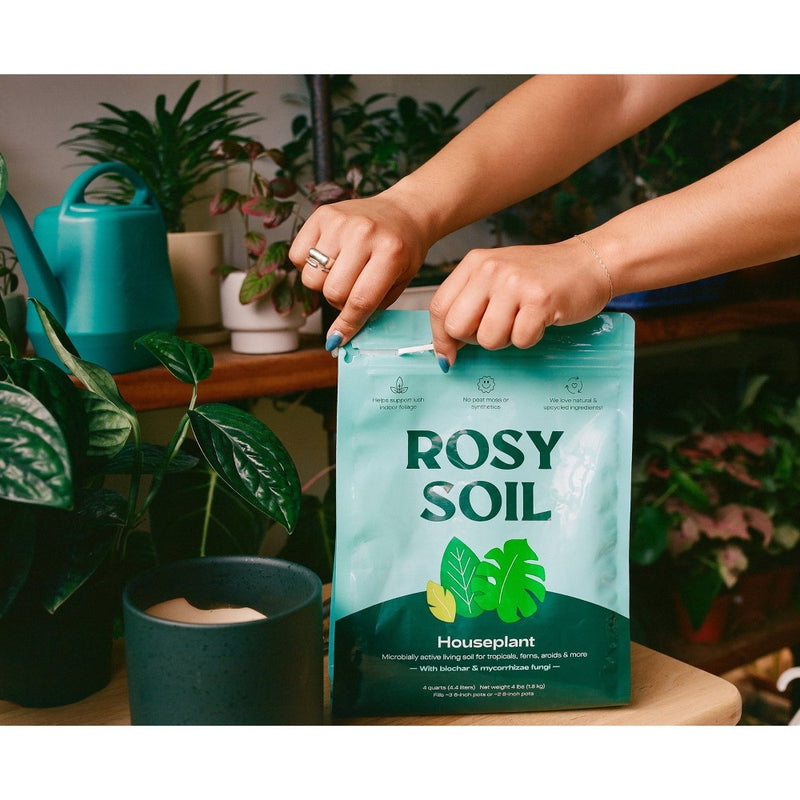 Rosy Soil 4lb Indoor Potting Soil Mix