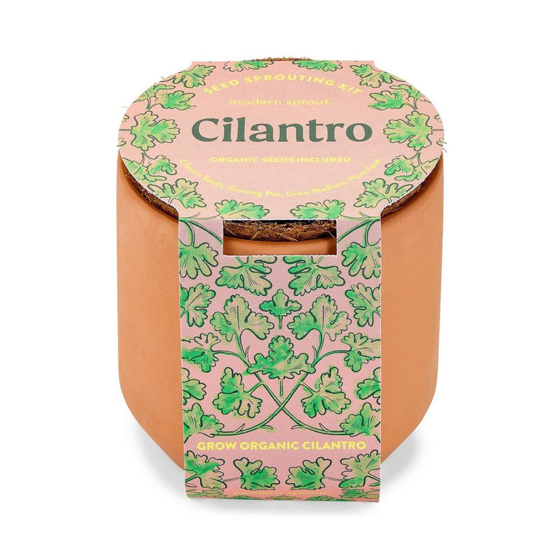 Modern Sprout Tiny Terracotta - Cilantro