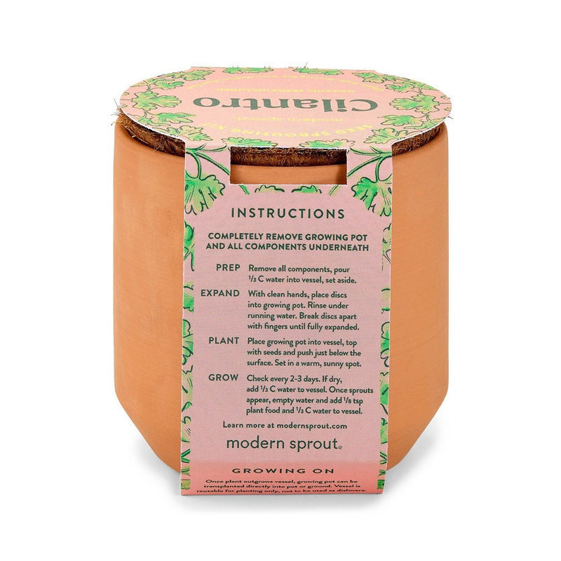Modern Sprout Tiny Terracotta - Cilantro