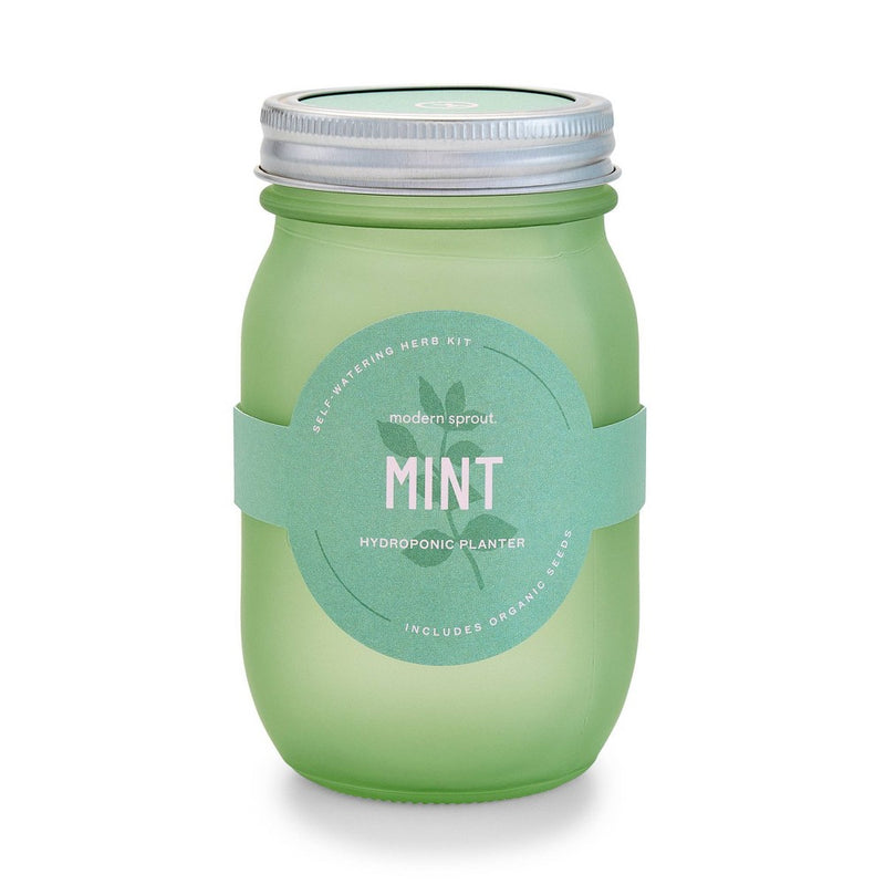 Modern Sprout Pint Jars Herb Garden Seed Kits - Mint (LOCAL PICKUP ONLY)