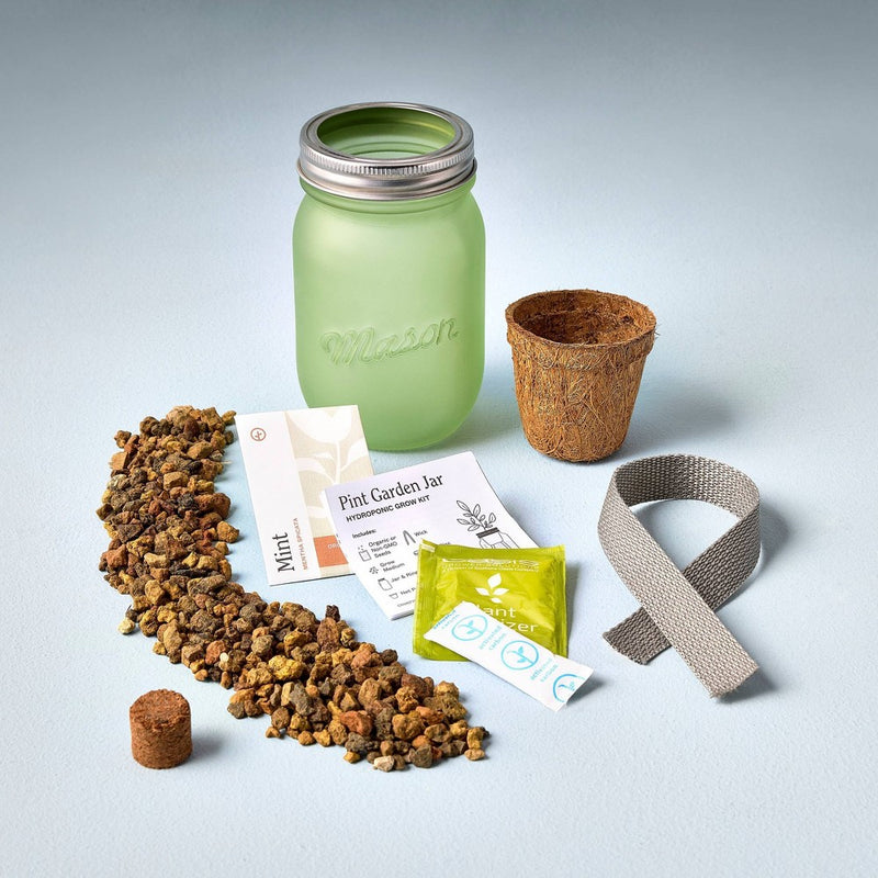 Modern Sprout Pint Jars Herb Garden Seed Kits - Mint (LOCAL PICKUP ONLY)