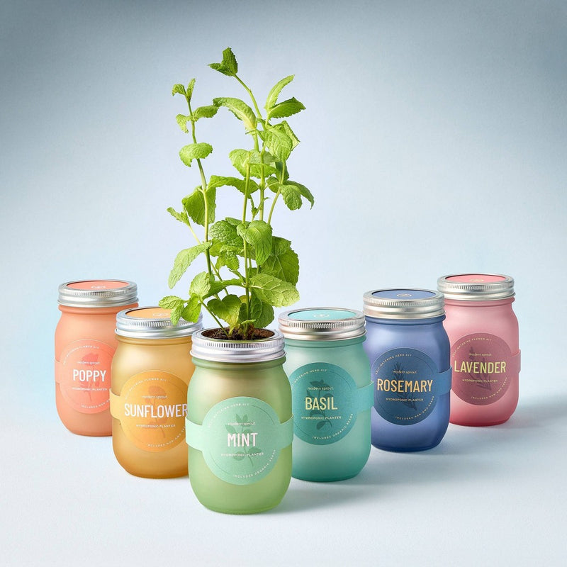 Modern Sprout Pint Jars Herb Garden Seed Kits - Mint (LOCAL PICKUP ONLY)