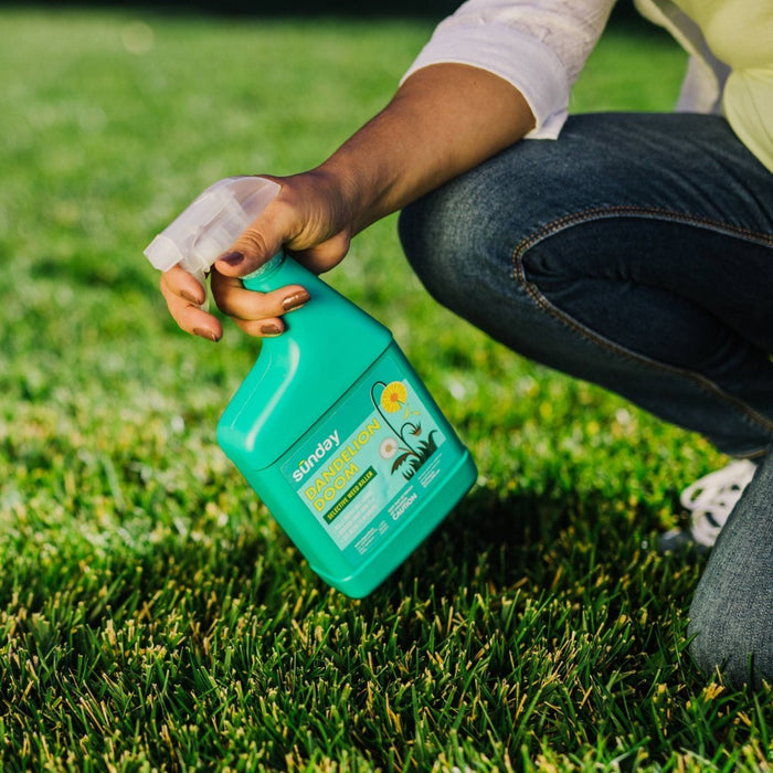 Sunday 32oz Dandelion Doom Herbicide Spot Treatment