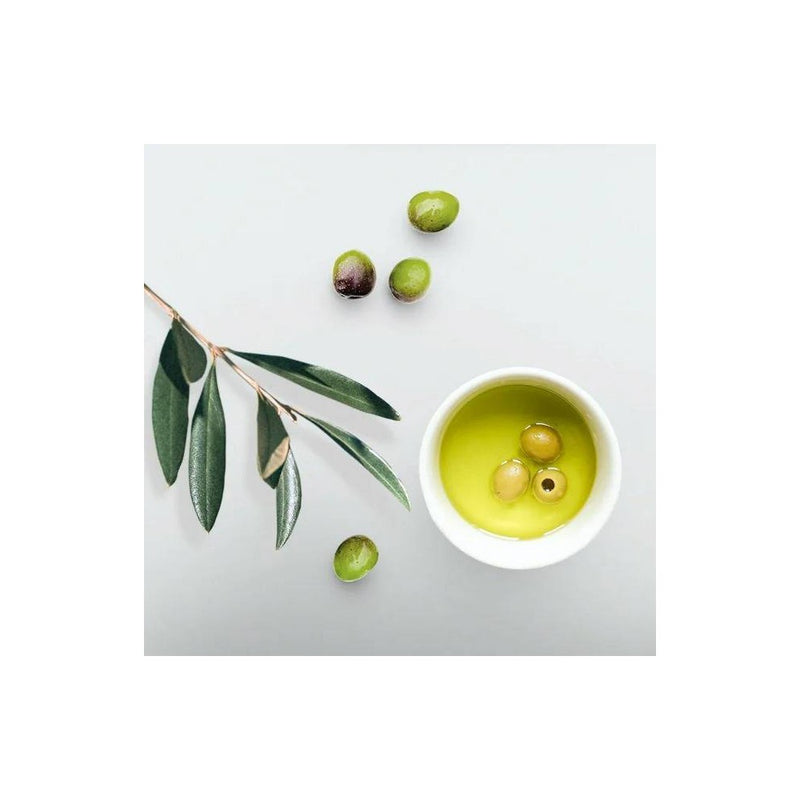 ECO STYLEProfessional Olive Styling Gel - 16 fl oz