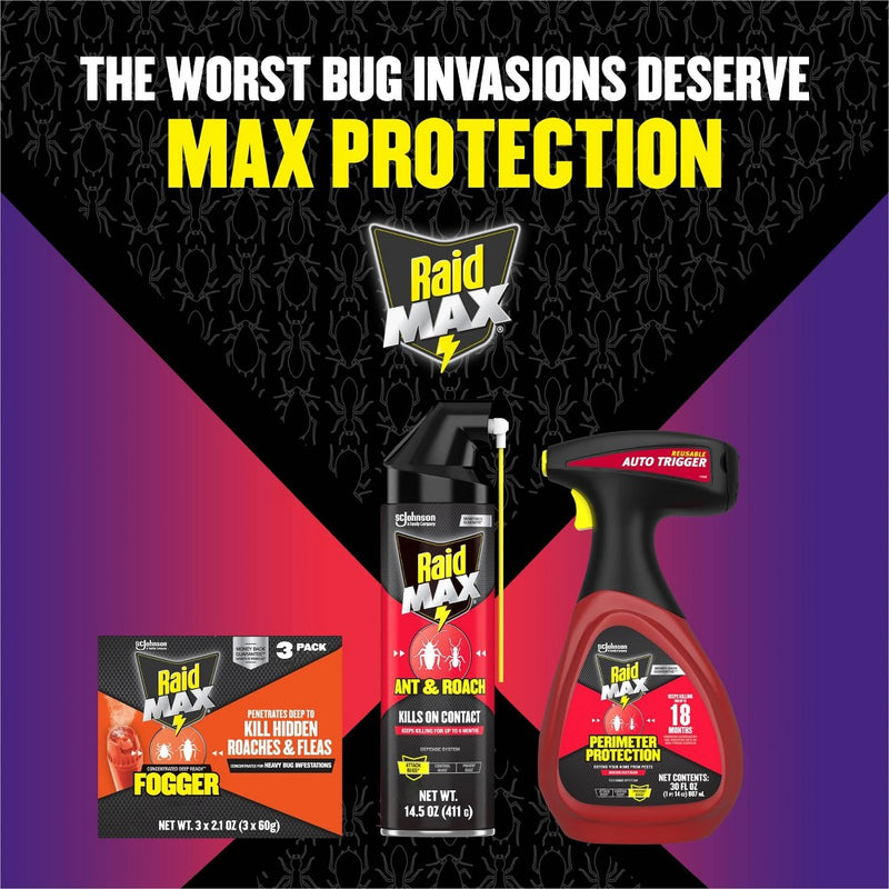 Raid Max Ant and Roach Pesticide - 14.5oz