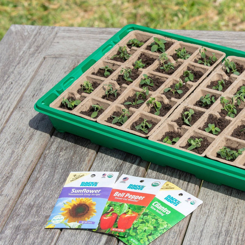 Back to the Roots 50 Cell Organic & Plantable Greenhouse Germination Kit All Purpose (LOCAL PICKUP ONLY)
