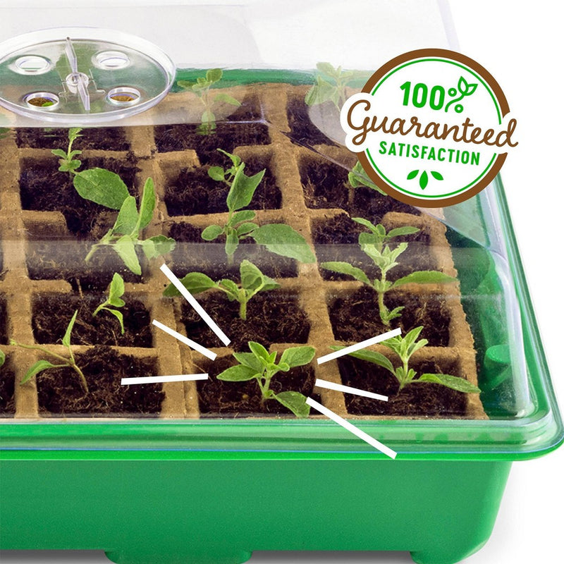 Back to the Roots 50 Cell Organic & Plantable Greenhouse Germination Kit All Purpose (LOCAL PICKUP ONLY)